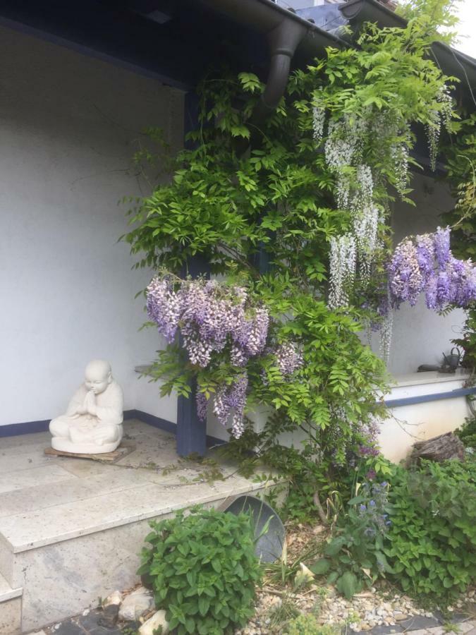 Apartment Gaensebluemchen daisy Walsdorf  Exterior foto